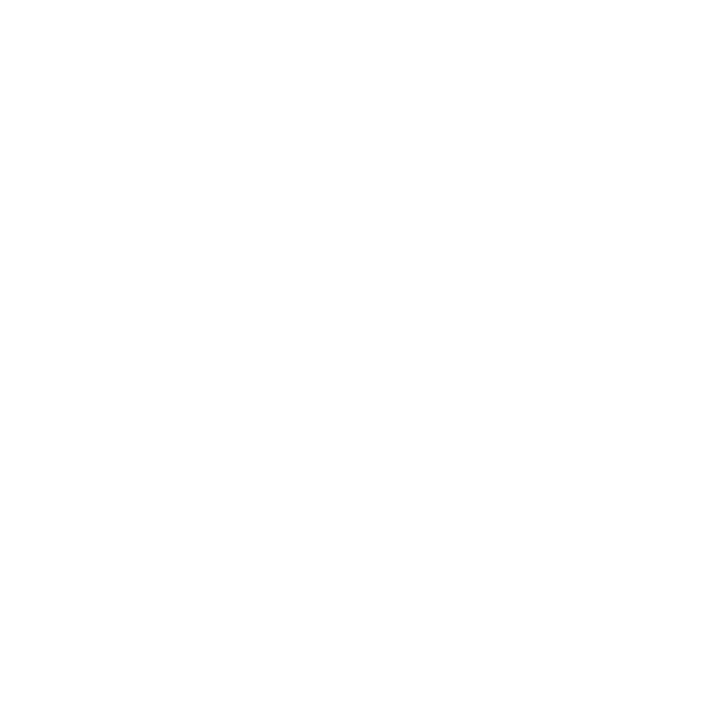 BHP/IT Serwis logo